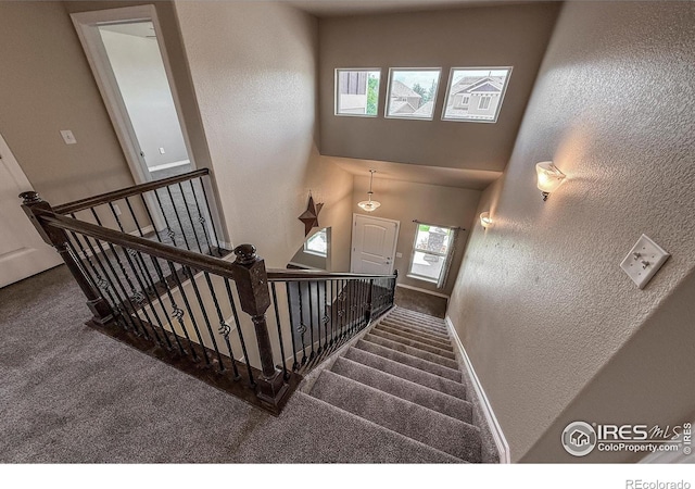 13598 Horseshoe Cir, Mead, CO 80542 - stairway featuring carpet, a textured wall, and baseboards