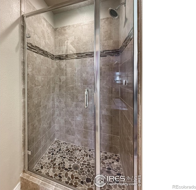 13598 Horseshoe Cir, Mead, CO 80542 - full bathroom featuring a stall shower