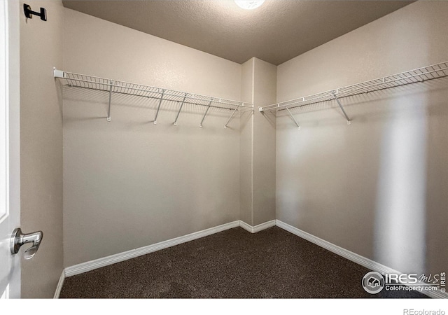 13598 Horseshoe Cir, Mead, CO 80542 - spacious closet with dark colored carpet