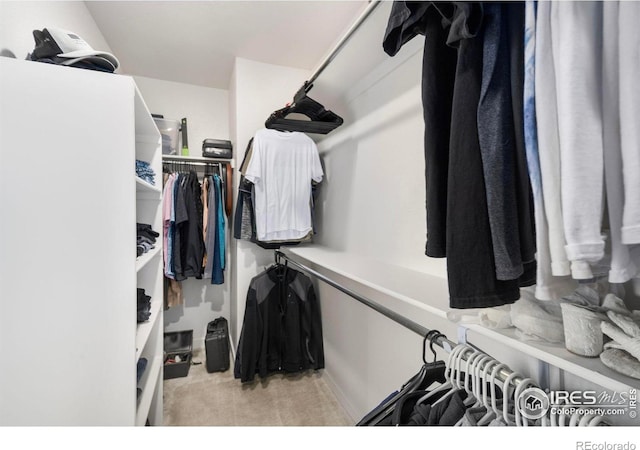 2031 Moon Rise Dr, Windsor, CO 80550 - spacious closet featuring carpet floors