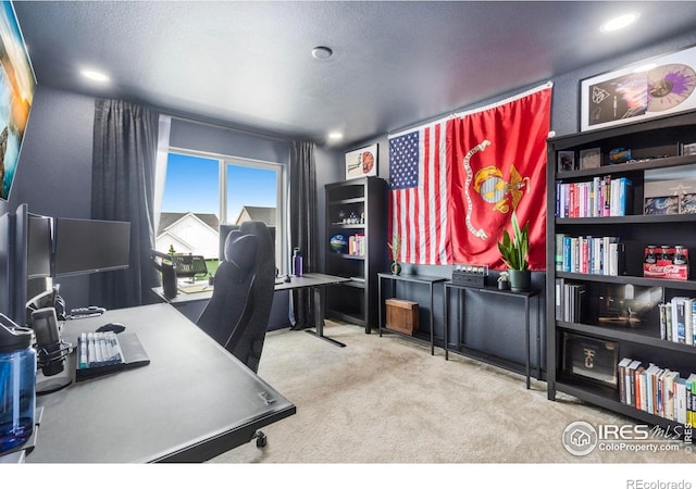 2031 Moon Rise Dr, Windsor, CO 80550 - carpeted office space featuring a textured ceiling
