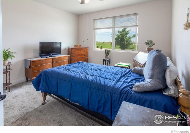 3238 Picasso Dr, Loveland, CO 80538 - photo 13
