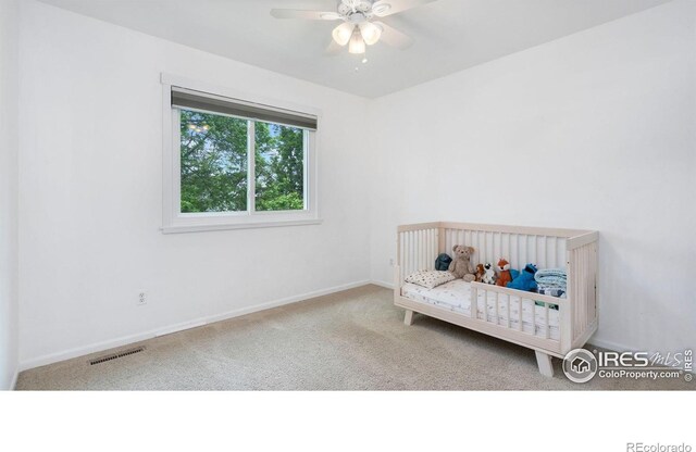 5925 Auburn Dr, Fort Collins, CO 80525 - photo 15