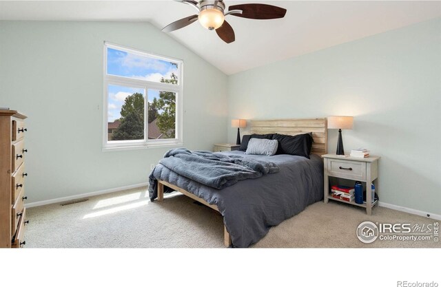 5925 Auburn Dr, Fort Collins, CO 80525 - photo 17