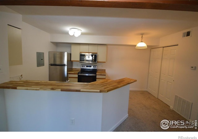 30 S Boulder Cir Unit 30182102, Boulder, CO 80303 - kitchen with appliances with stainless steel finishes, butcher block countertops, a peninsula, electric panel, and light colored carpet