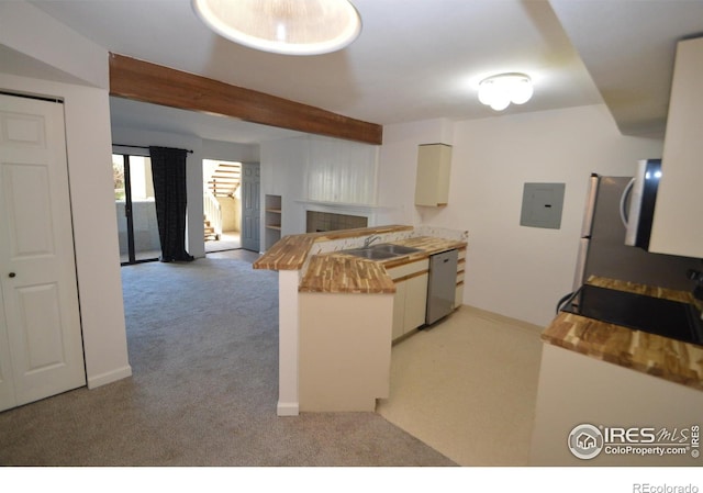 30 S Boulder Cir Unit 30182102, Boulder, CO 80303 - kitchen featuring light colored carpet, a peninsula, electric panel, a sink, and dishwasher