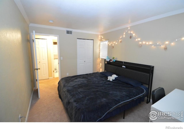 30 S Boulder Cir Unit 30182102, Boulder, CO 80303 - bedroom with carpet floors, ornamental molding, baseboards, and a closet