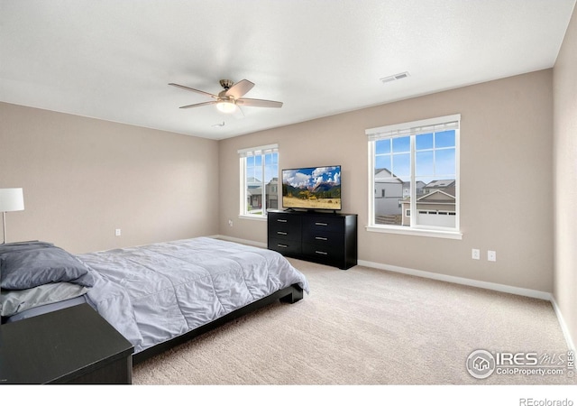 6110 1st St, Greeley, CO 80634 - photo 17