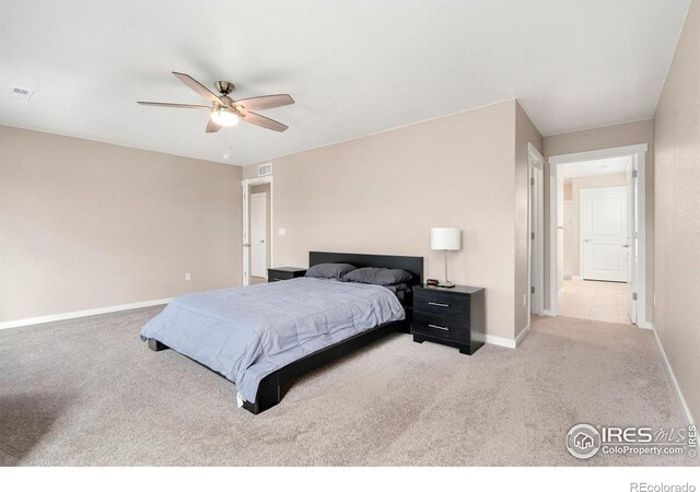6110 1st St, Greeley, CO 80634 - photo 18