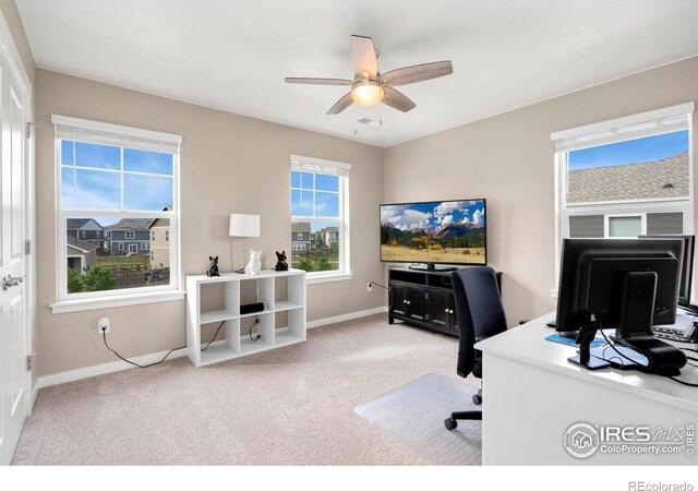 6110 1st St, Greeley, CO 80634 - photo 20