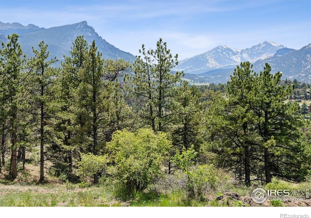 Governors Ln, Estes Park, CO 80517 - photo 2