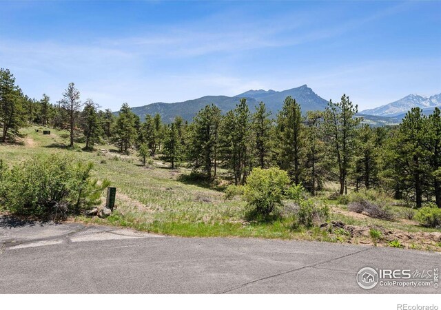 Governors Ln, Estes Park, CO 80517 - photo 3