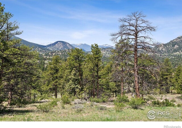Governors Ln, Estes Park, CO 80517 - photo 4