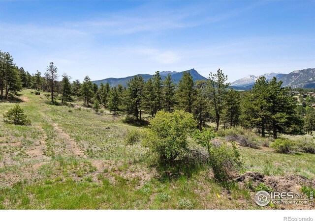 Governors Ln, Estes Park, CO 80517 - photo 5