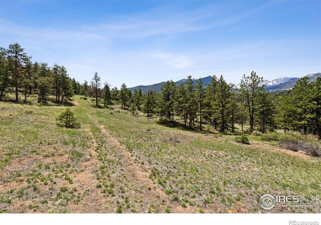 Governors Ln, Estes Park, CO 80517 - photo 6