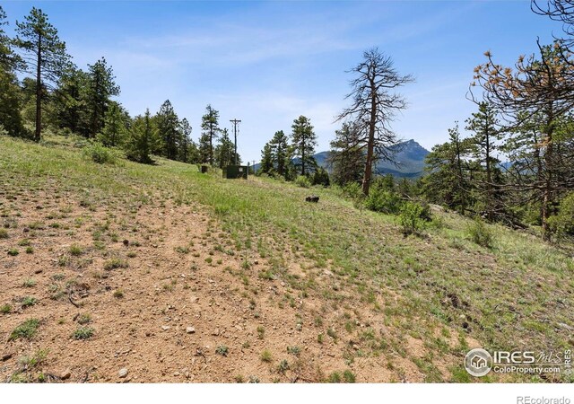 Governors Ln, Estes Park, CO 80517 - photo 7