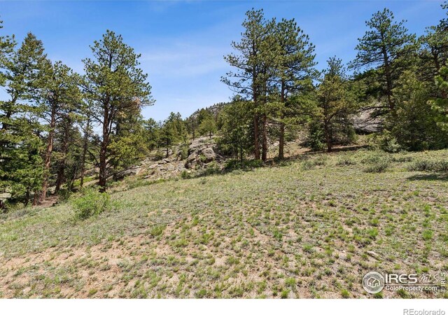 Governors Ln, Estes Park, CO 80517 - photo 8