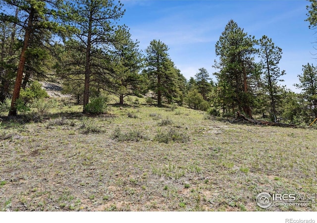 Governors Ln, Estes Park, CO 80517 - photo 9