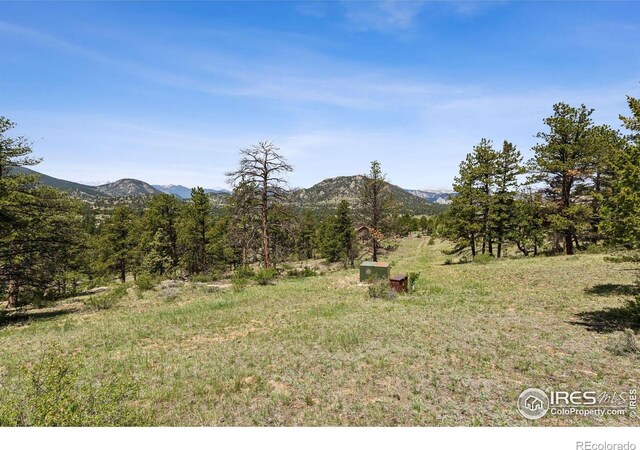 Governors Ln, Estes Park, CO 80517 - photo 10