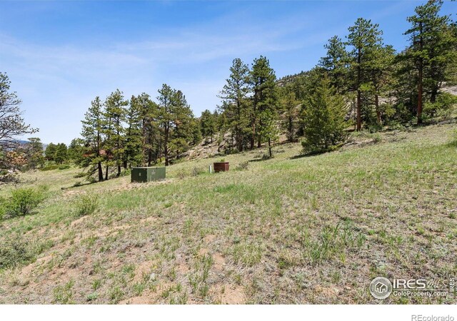 Governors Ln, Estes Park, CO 80517 - photo 11