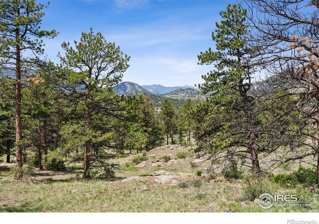 Governors Ln, Estes Park, CO 80517 - photo 12