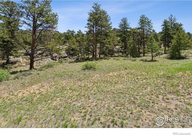 Governors Ln, Estes Park, CO 80517 - photo 13
