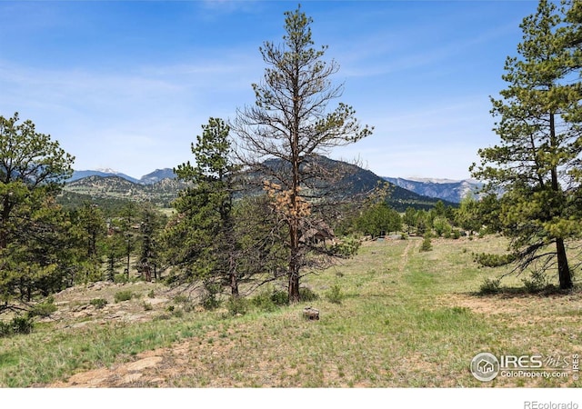 Governors Ln, Estes Park, CO 80517 - photo 16