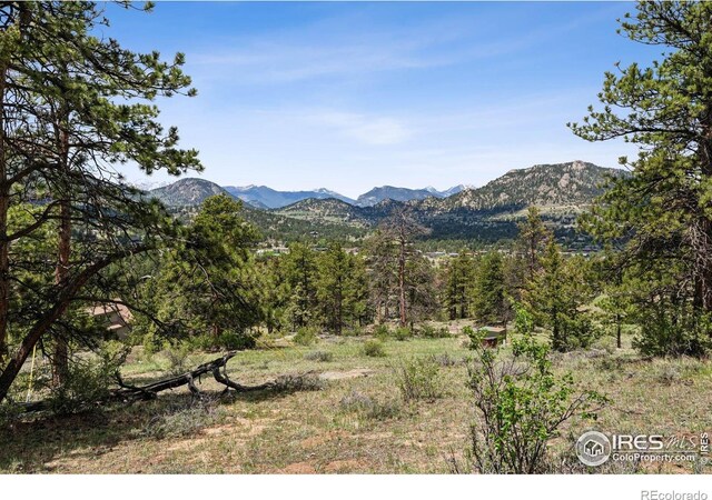 Governors Ln, Estes Park, CO 80517 - photo 18