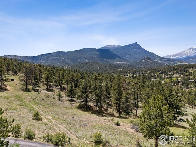 Governors Ln, Estes Park, CO 80517 - photo 19