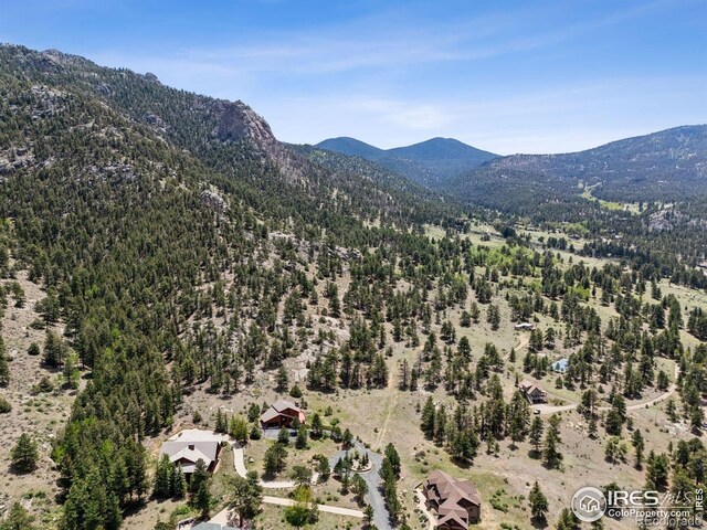 Governors Ln, Estes Park, CO 80517 - photo 21