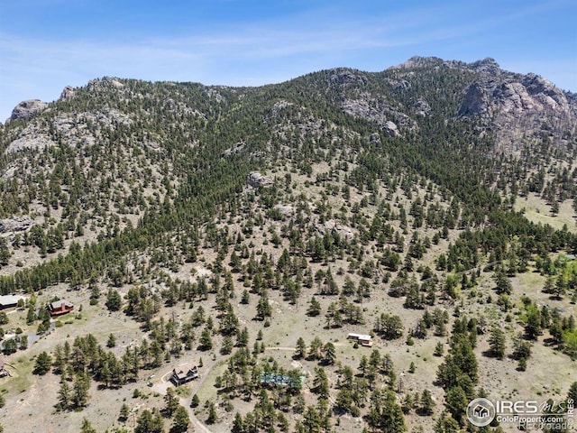 Governors Ln, Estes Park, CO 80517 - photo 25