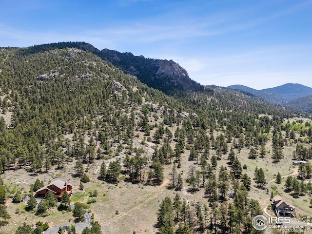 Governors Ln, Estes Park, CO 80517 - photo 26