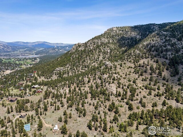Governors Ln, Estes Park, CO 80517 - photo 31