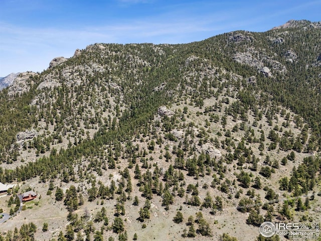 Governors Ln, Estes Park, CO 80517 - photo 32
