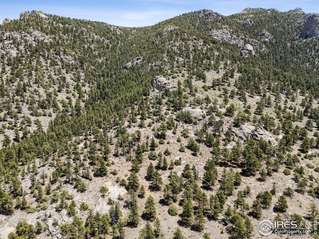 Governors Ln, Estes Park, CO 80517 - photo 33