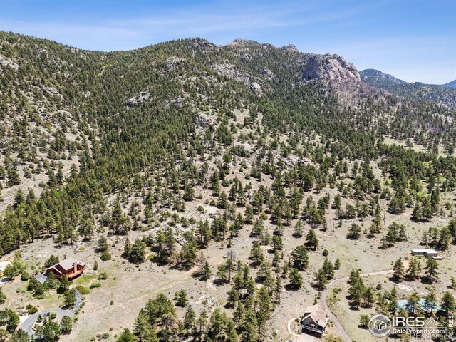 Governors Ln, Estes Park, CO 80517 - photo 34
