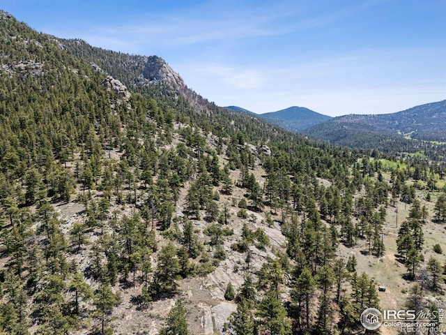 Governors Ln, Estes Park, CO 80517 - photo 36