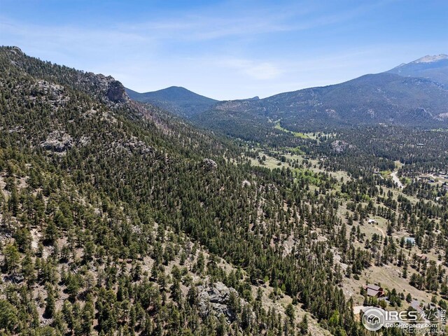 Governors Ln, Estes Park, CO 80517 - photo 37