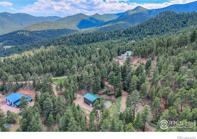 3819 James Canyon Dr, Jamestown, CO 80455 - photo 9