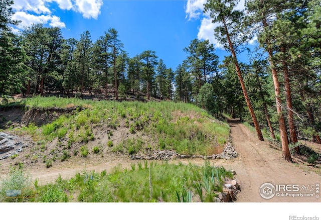 3819 James Canyon Dr, Jamestown, CO 80455 - photo 12