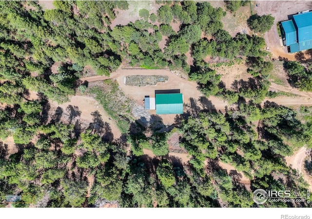 3819 James Canyon Dr, Jamestown, CO 80455 - photo 13