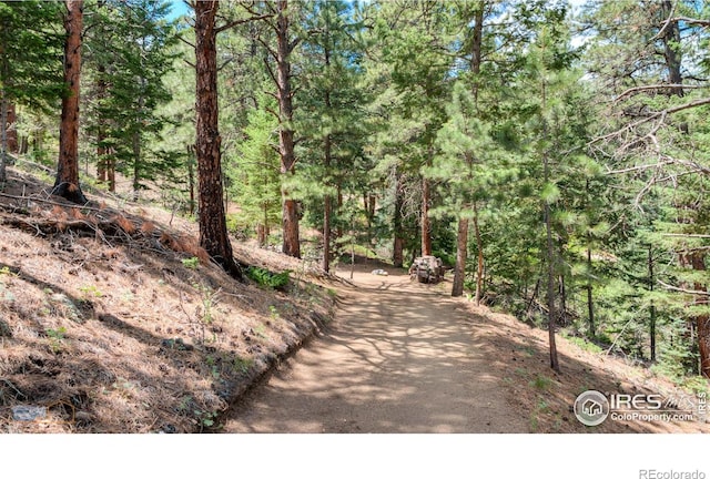 3819 James Canyon Dr, Jamestown, CO 80455 - photo 14