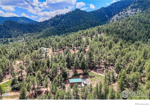 3819 James Canyon Dr, Jamestown, CO 80455 - photo 18