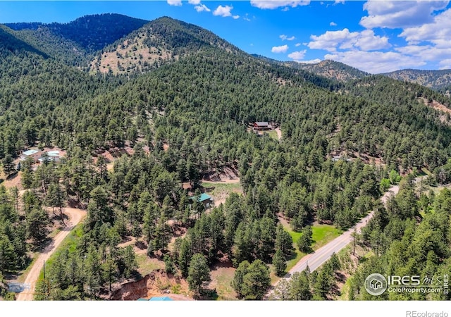 3819 James Canyon Dr, Jamestown, CO 80455 - photo 19