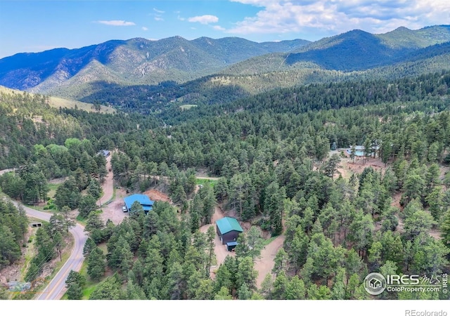 3819 James Canyon Dr, Jamestown, CO 80455 - photo 24