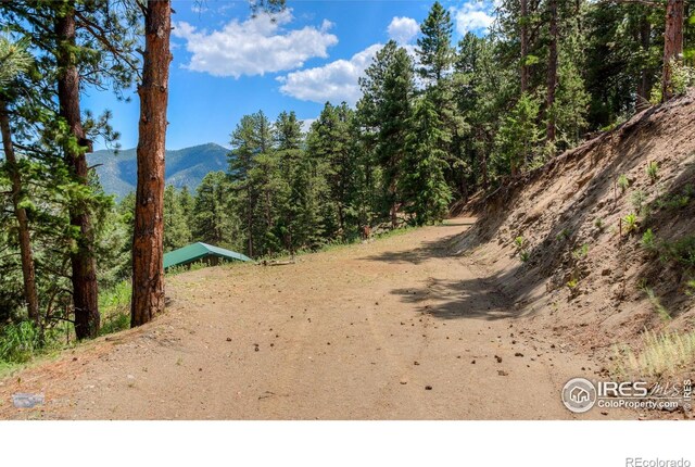 3819 James Canyon Dr, Jamestown, CO 80455 - photo 11