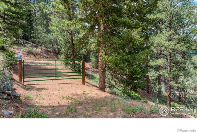 3819 James Canyon Dr, Jamestown, CO 80455 - photo 15