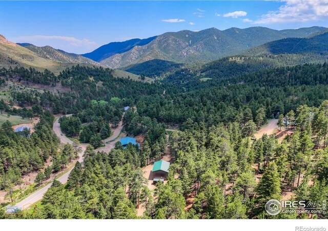 3819 James Canyon Dr, Jamestown, CO 80455 - photo 20
