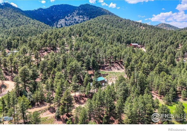 3819 James Canyon Dr, Jamestown, CO 80455 - photo 22