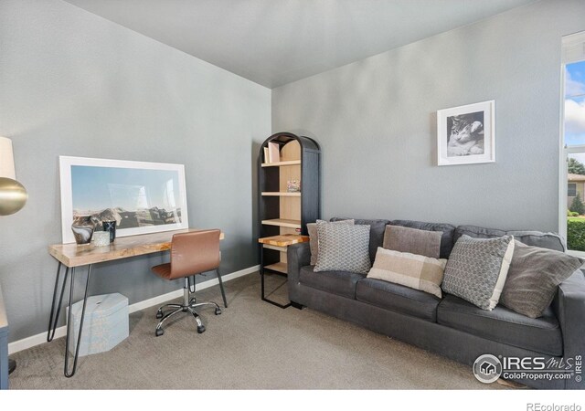 8199 White Owl Ct, Windsor, CO 80550